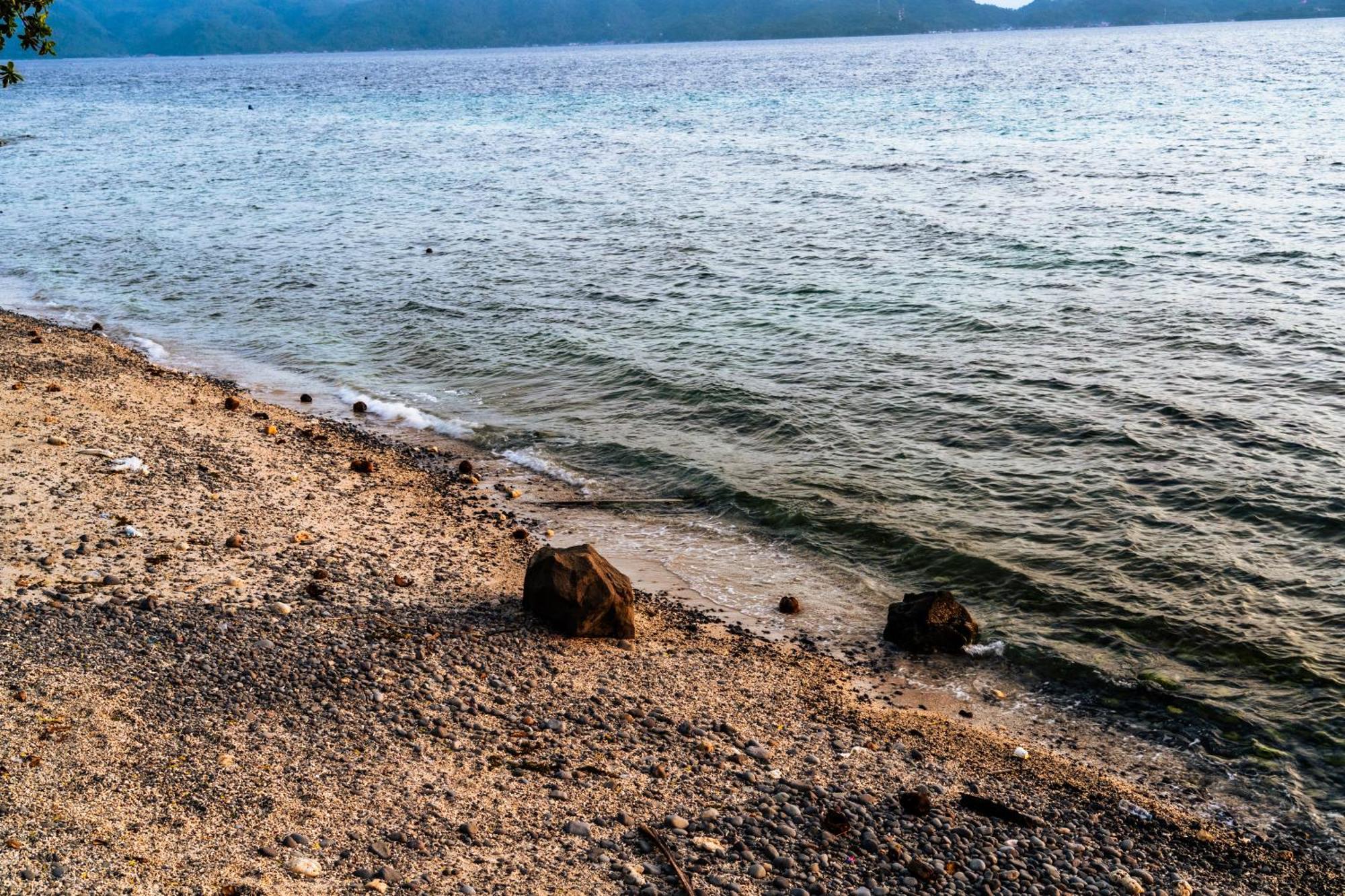 Altamare Dive And Leisure Resort Anilao Мабіні Екстер'єр фото